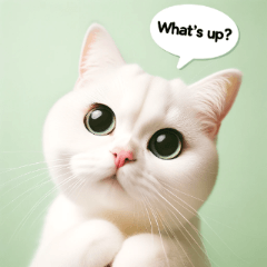 Black & White Cat Stickers