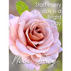 Start every day is a bright day