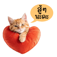 Be Friend Orange Cat V.3 - Work