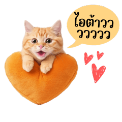 Be Friend Orange Cat V.4