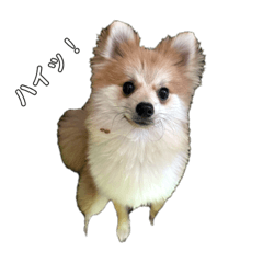 potatochip_20231025230710