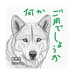 つぶやく犬図鑑(2)