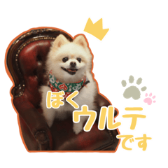 megumi_20231026002512