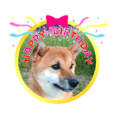 jinjin_20231025164022