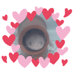 melon_20231025171111