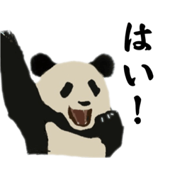 Nao_20231026135726