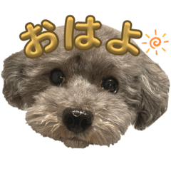 natsumi_20231026035714