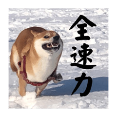 yuka_20231026035358
