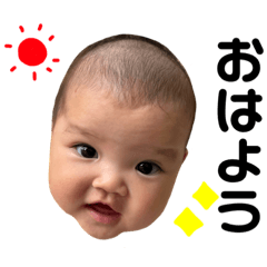 sakura_20231025212953