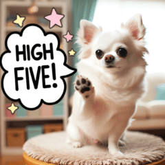 Charming Chihuahua Stickers1
