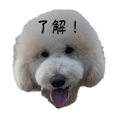 Momo stamp_20231026143501