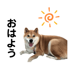 kana_20231026122552