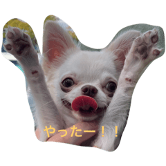 suzu_20231026205032