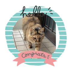 sayuri_20231026212839