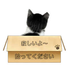 YUKARI_20231026215657