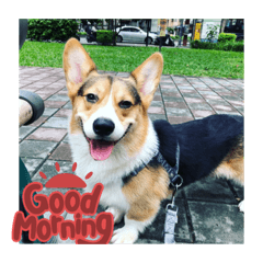 hana_20231026222139