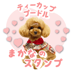 Teacup poodle MAKANA's Sticker