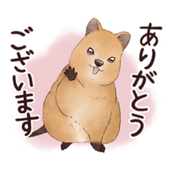 クオッカワラビーのスタンプ - LINE スタンプ | LINE STORE