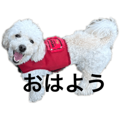 Hana_20231026222441