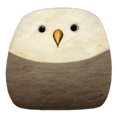 Burung Berpola Batu: Momen Tenang