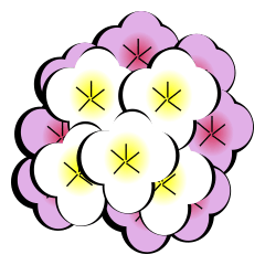 Various flower languages