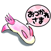 the sea slugs