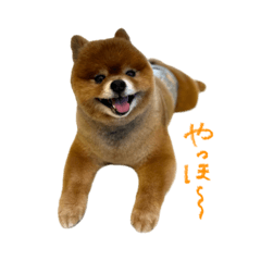 Nao_20231027085155