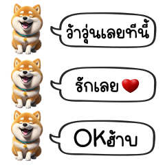 Dog Shiba : Cute Word