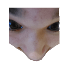 John_20231027000528