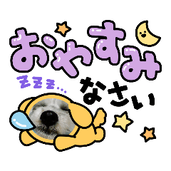taki_01
