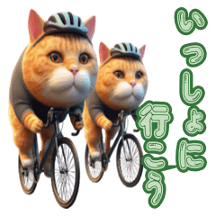 Cat ride a  road bike