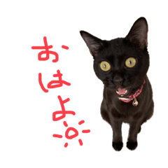 yuka_20231027214023