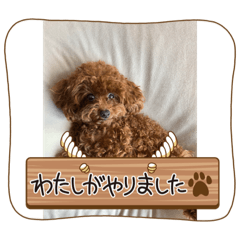 ricky_20231027231551
