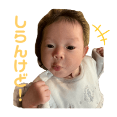 SY_20231027203937
