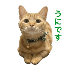 da-ko_20231028000739