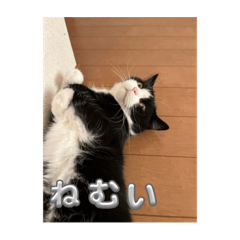 coni_20231028120152
