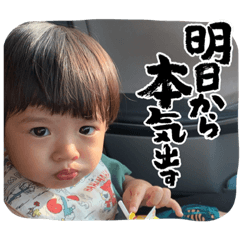 yayoi_20231028064831