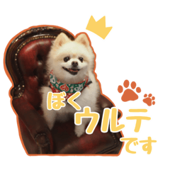 megumi_20231027204514