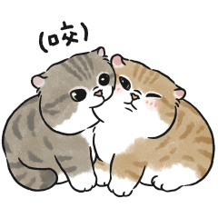 Oba cat11 - tabby cat