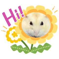 Kobaton_20231028134651