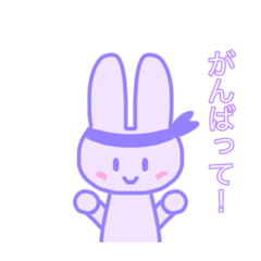 rabit.p_20231028134751