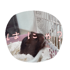 sak_20231028143919