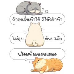 Lazy cat : small chat