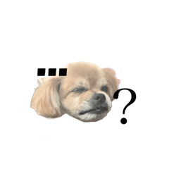kana_20231028142045
