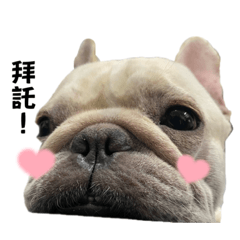 小肉丸貼圖第二彈來囉！