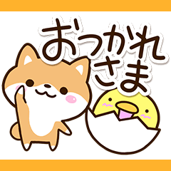 Sticker of Cute Shiba43