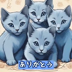 Russian Blue01