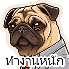 Salaryman Pug Life (Thai)
