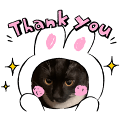 MEGUMI_20231028160955