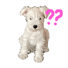 Kumimi_20231028201949